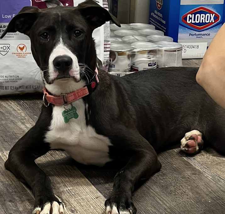 Photo of Becky - 25124