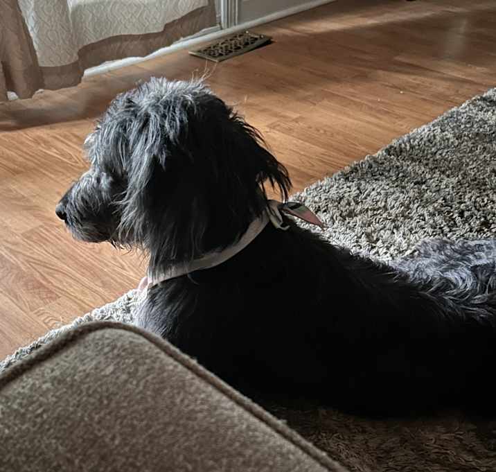 Photo of Duke