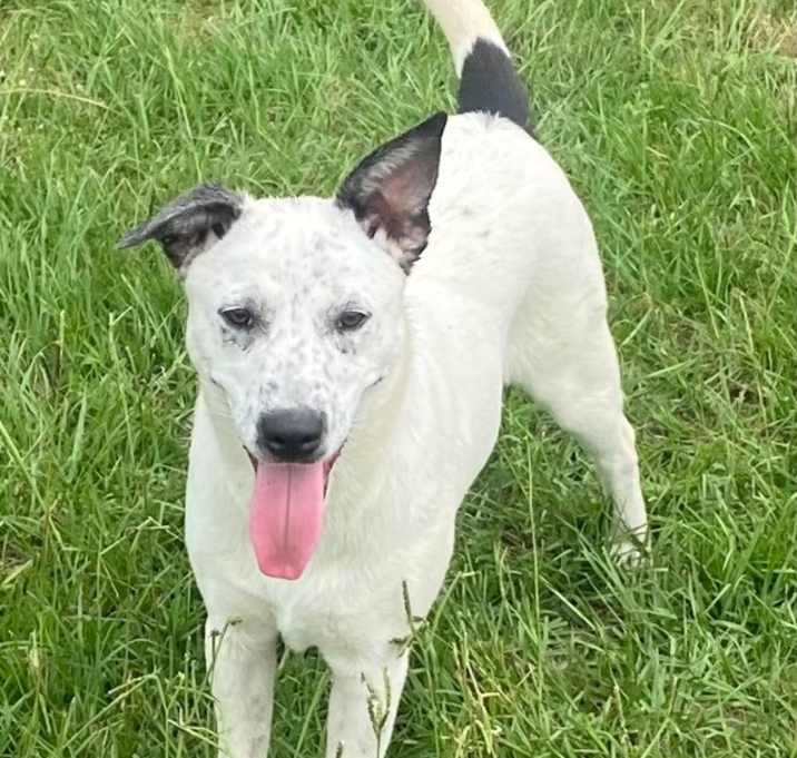 Photo of Sugar