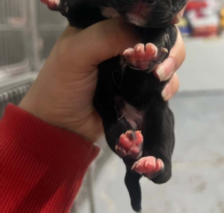 Photo of Gamora