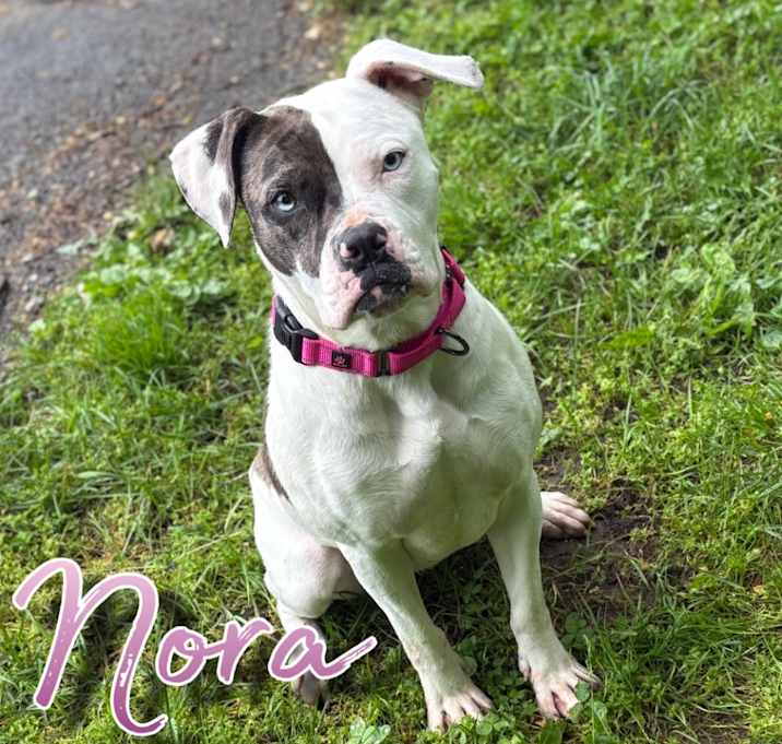 Photo of Nora