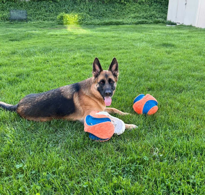 Photo of Mila