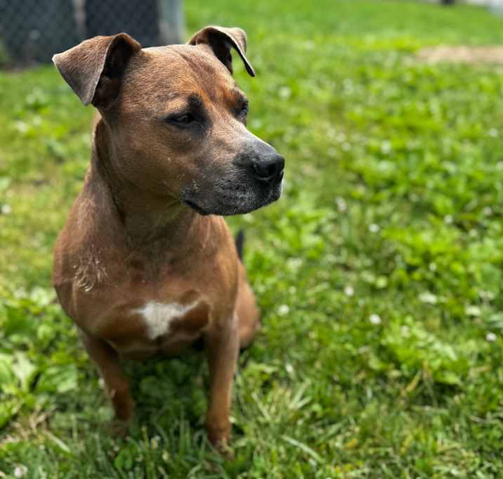 Photo of Mable