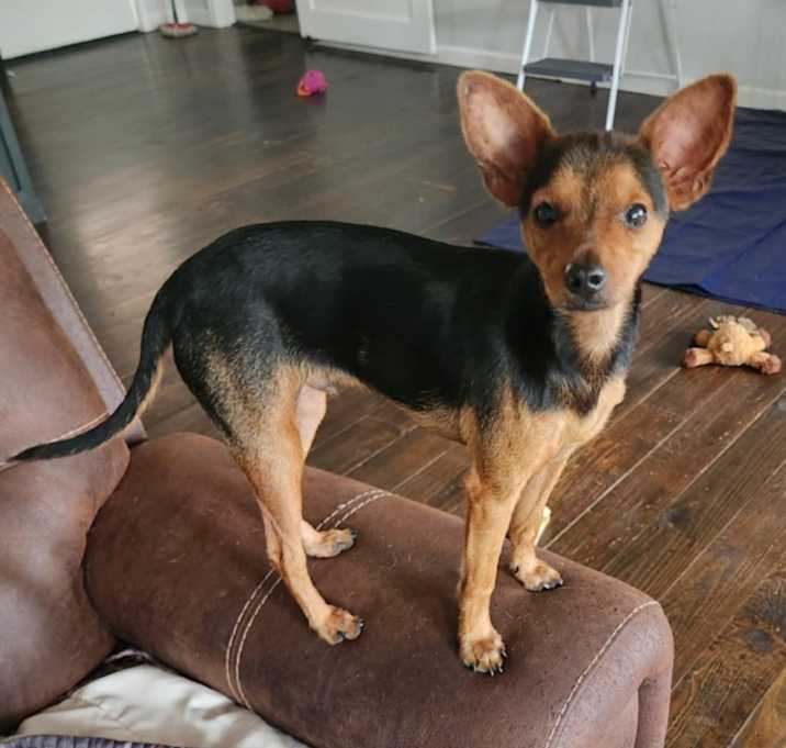 Photo of Eliza aka Ginger JuM