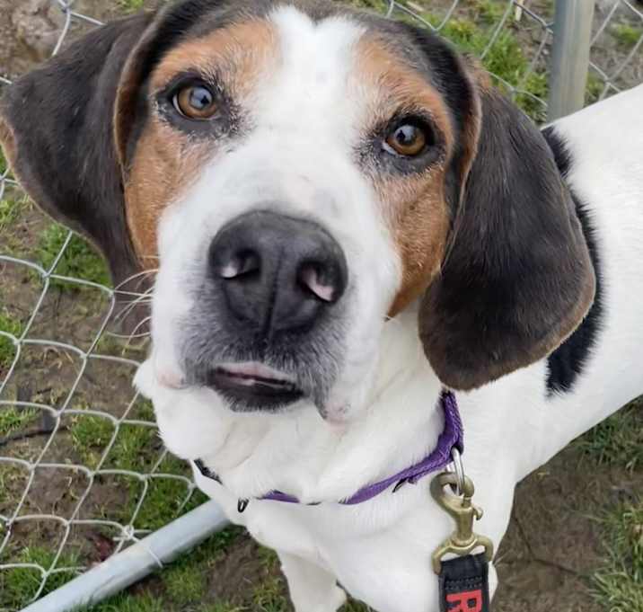 Photo of Pippa