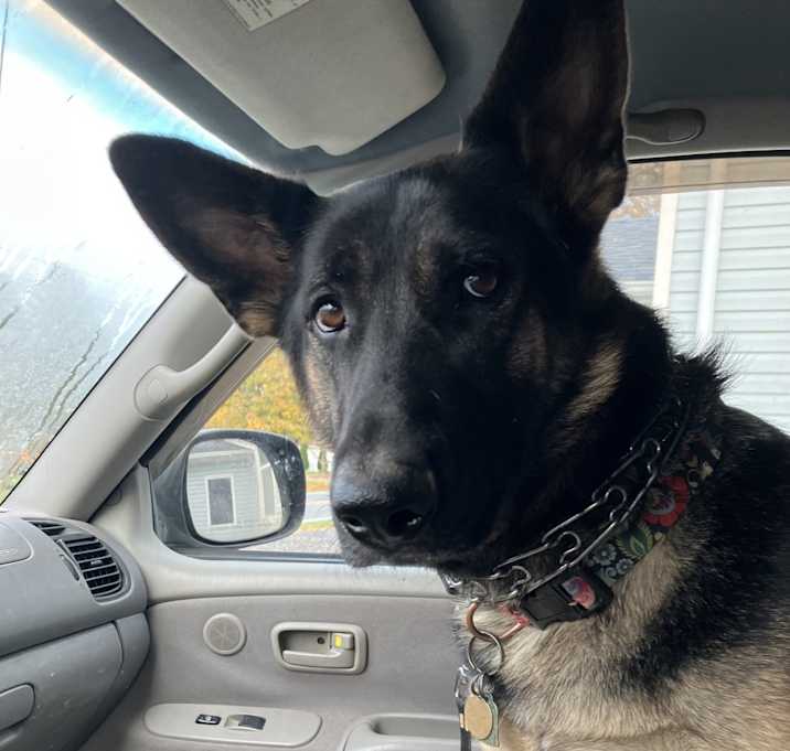 Photo of Skye