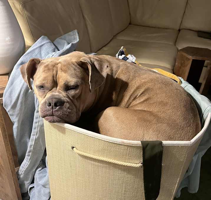 Photo of Miss Winnie