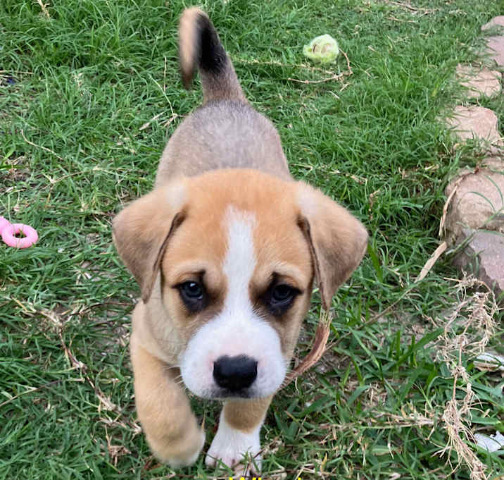Photo of WINNIE