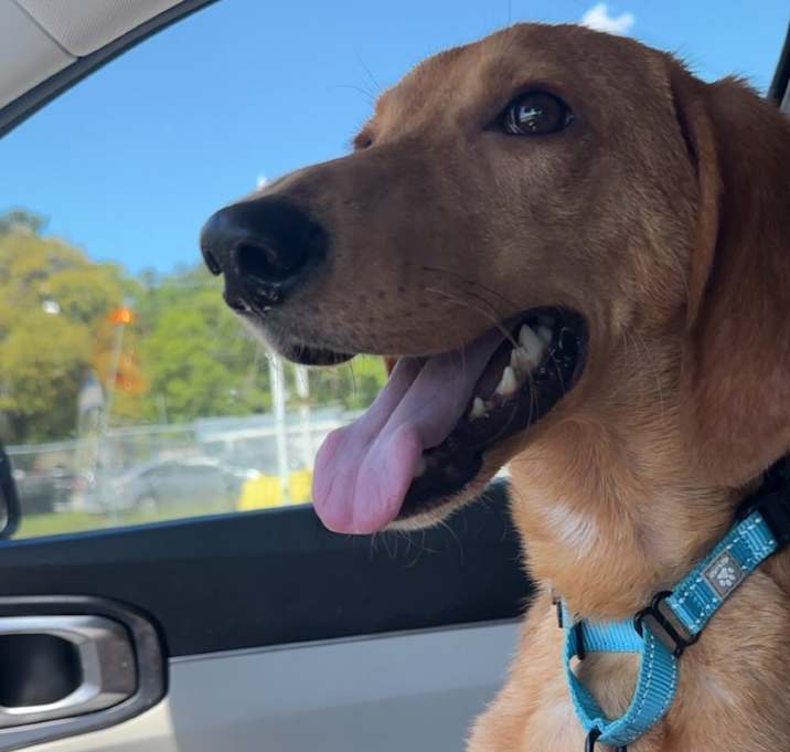 Photo of  Leonardo DiCaprio