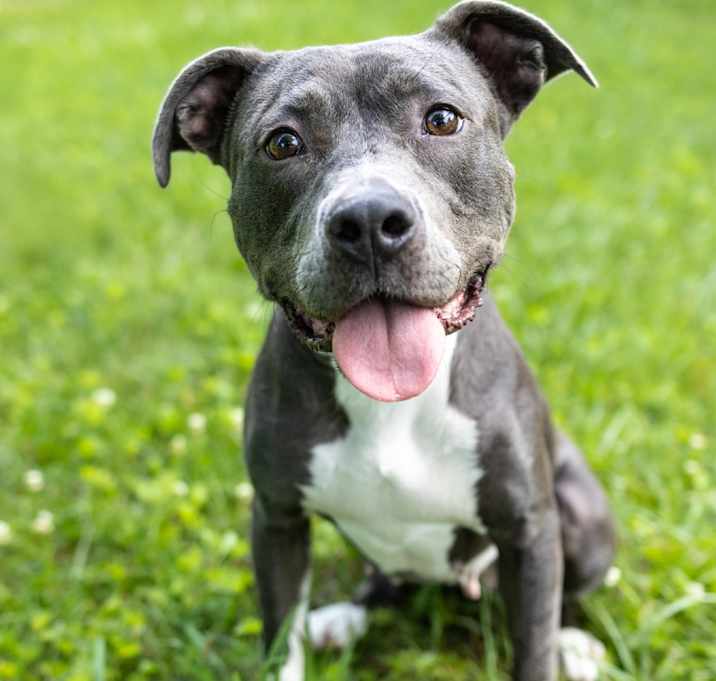 Photo of Junie
