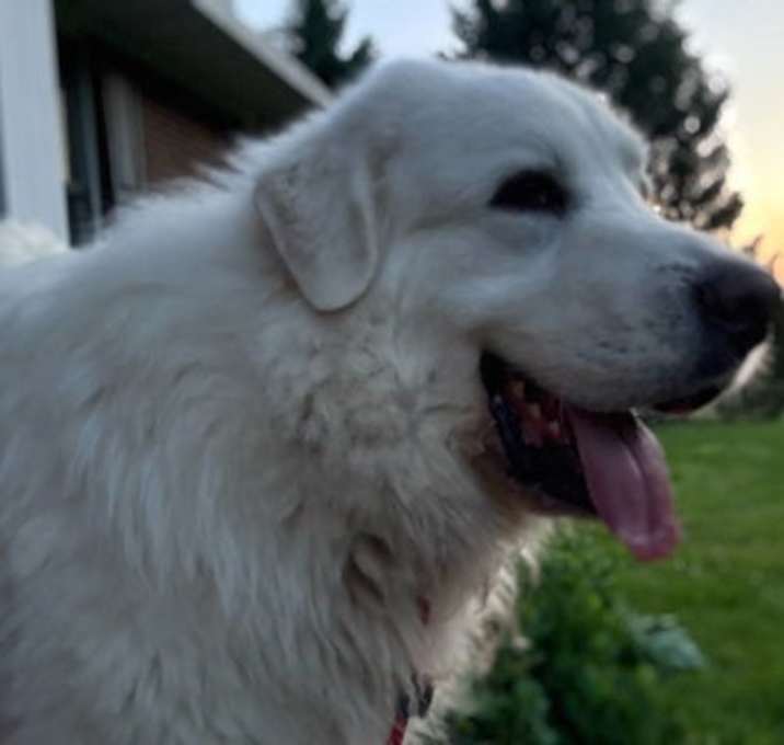 Photo of Yuki