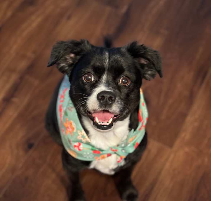 Photo of Midna