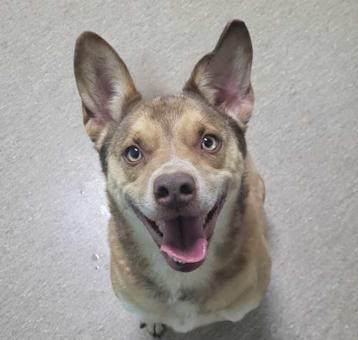 Photo of Oaklee
