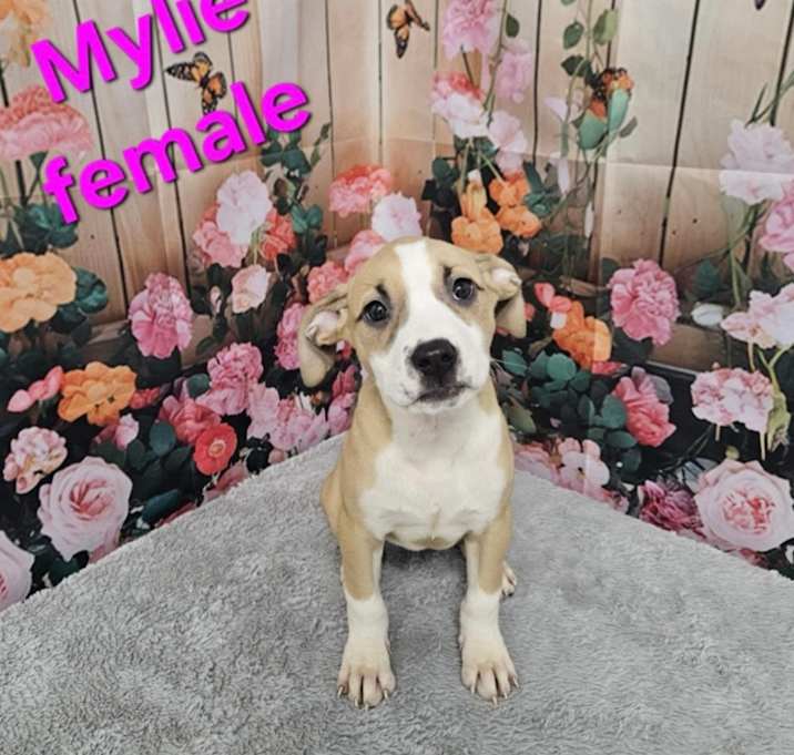 Photo of Mylie
