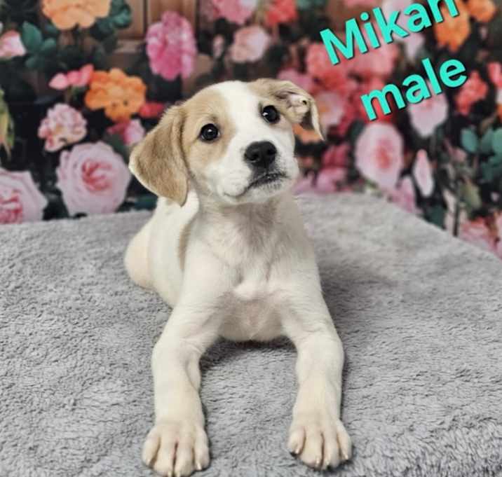 Photo of Micah