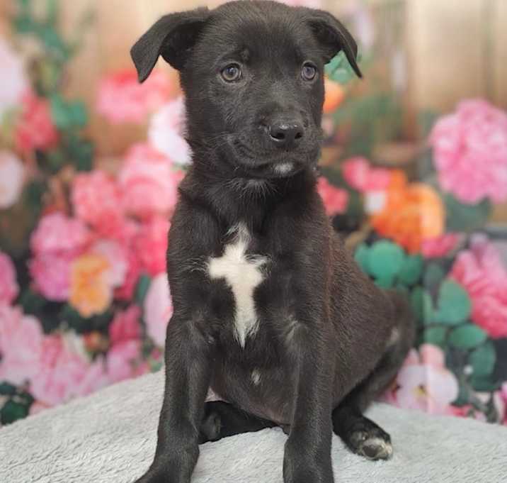 Photo of Zeke