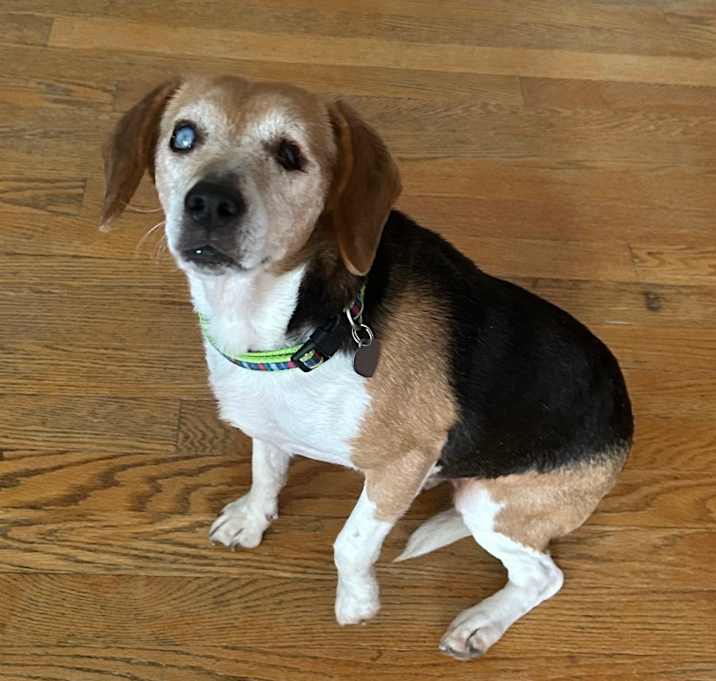 Photo of Elsie
