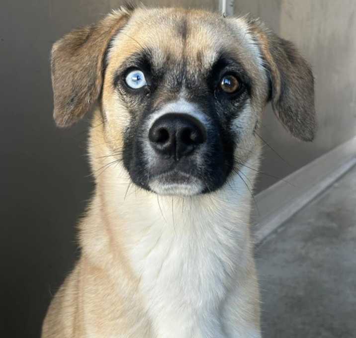 Photo of Waldo