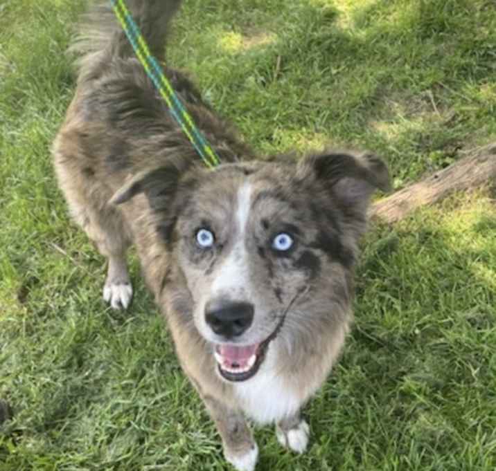 Photo of Rudy