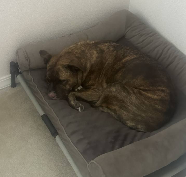 Photo of Kiki