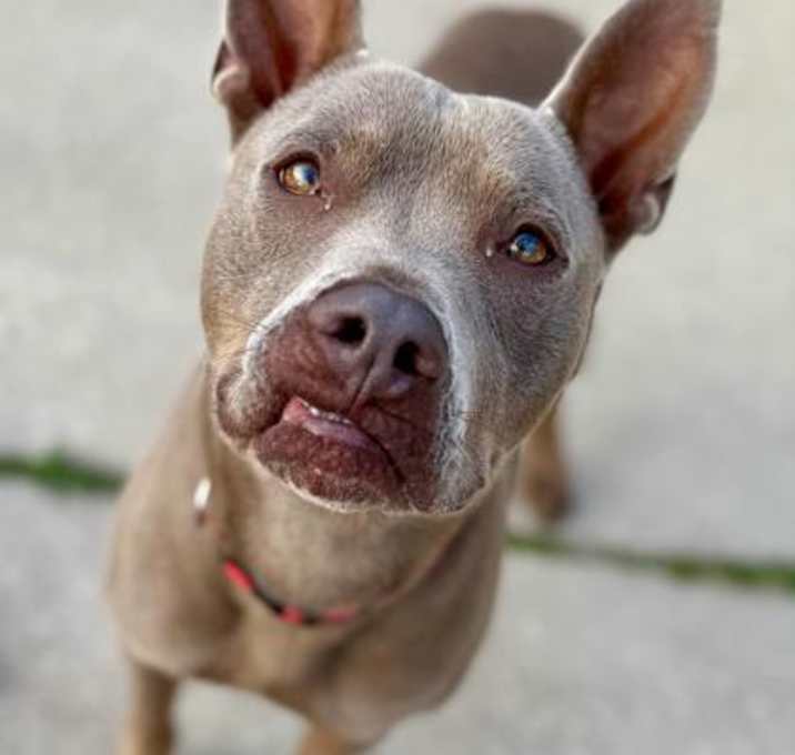 Photo of Quincy