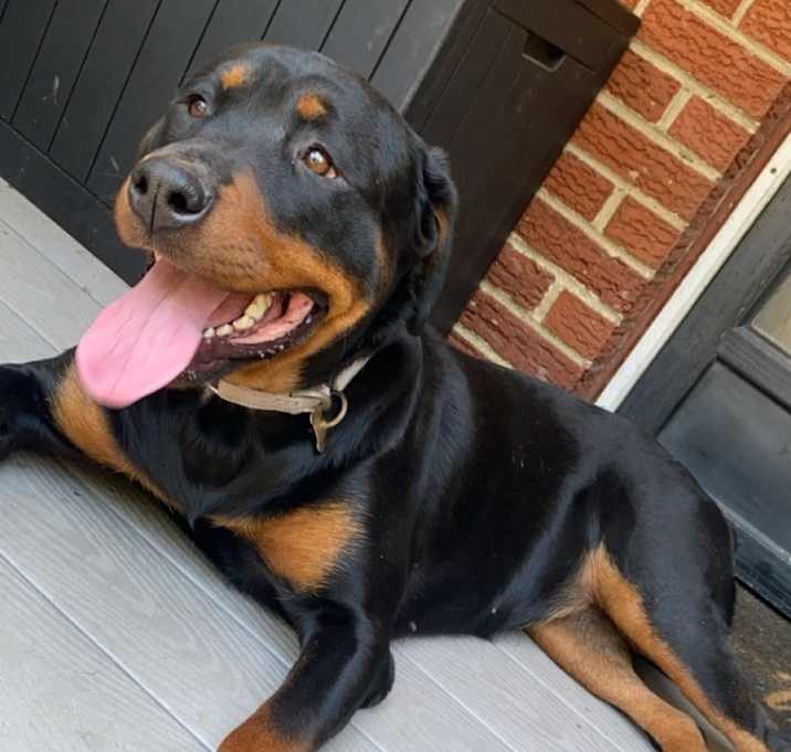 Photo of Maze