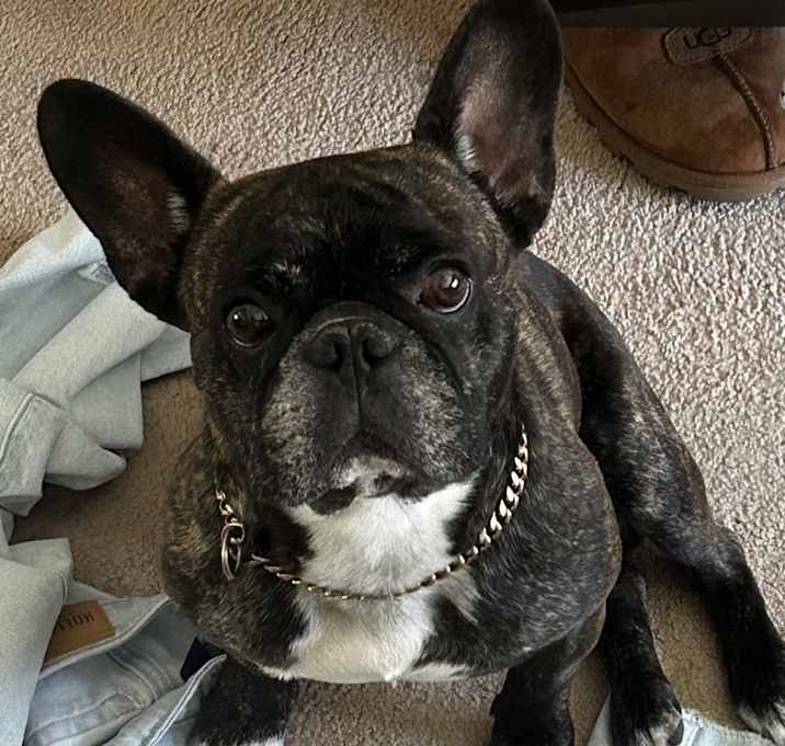 Photo of BamBam