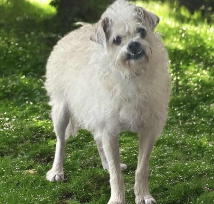 Photo of Joe