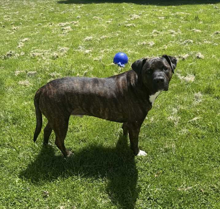 Photo of Dante