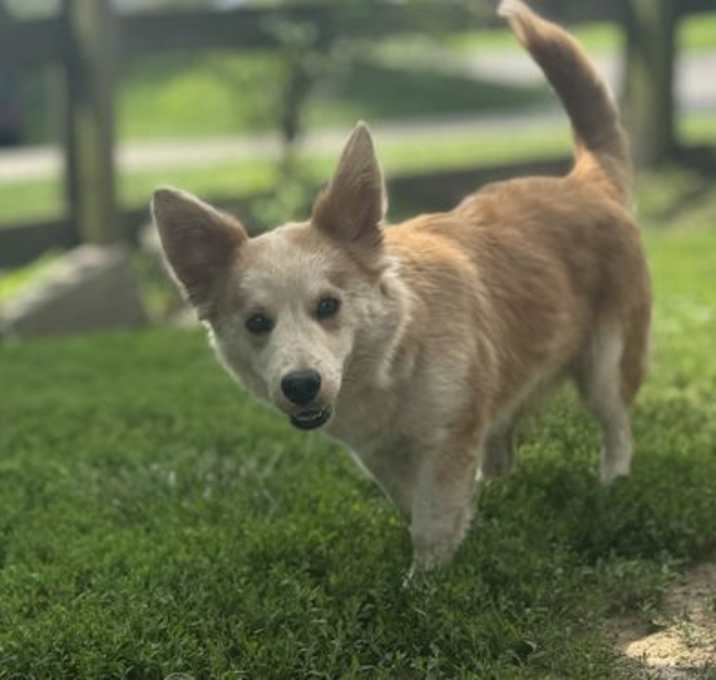 Photo of Finn