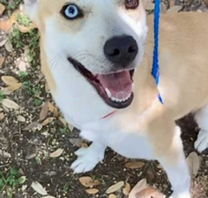 Photo of Redd