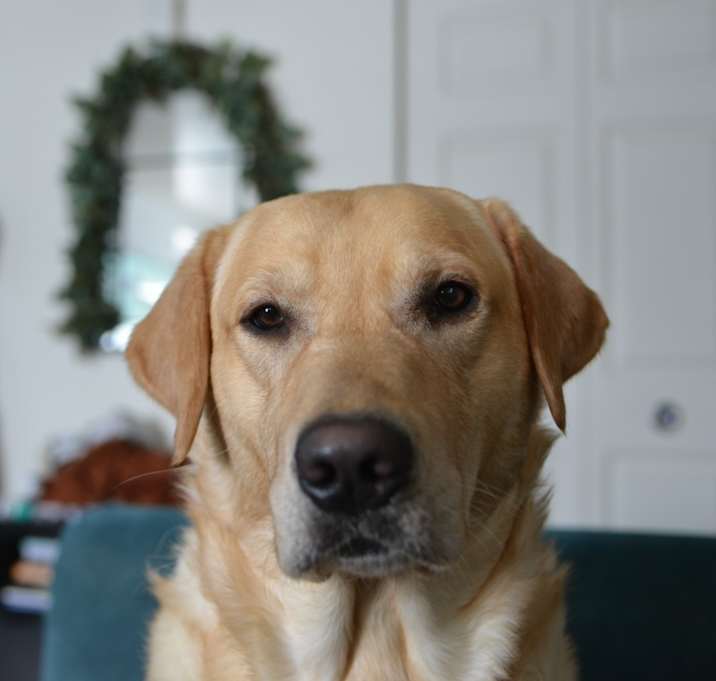 Photo of Benny
