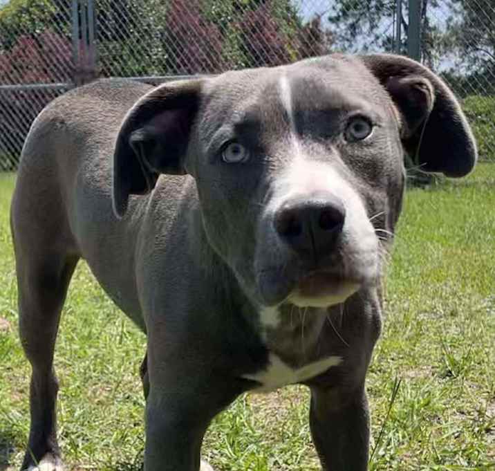 Photo of WAYLEN/URGENT