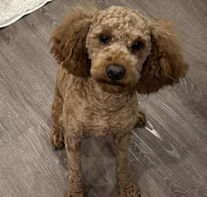Photo of Charlie