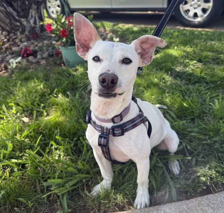 Photo of Frankie Bob