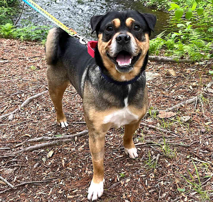 Photo of Ace