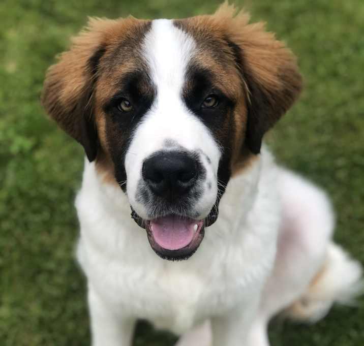 Photo of Benny