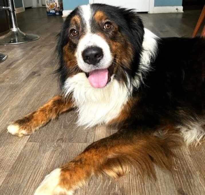 Photo of BEST FRIEND BENJI
