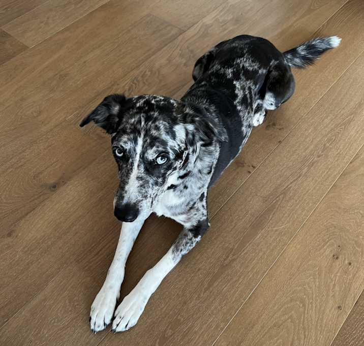 Photo of Flynn