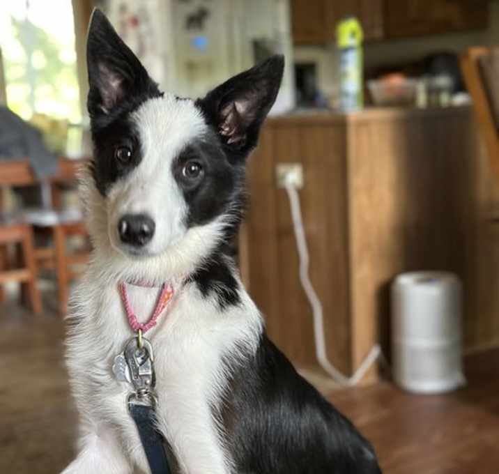 Photo of Maggie
