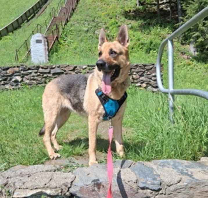 Photo of Macey