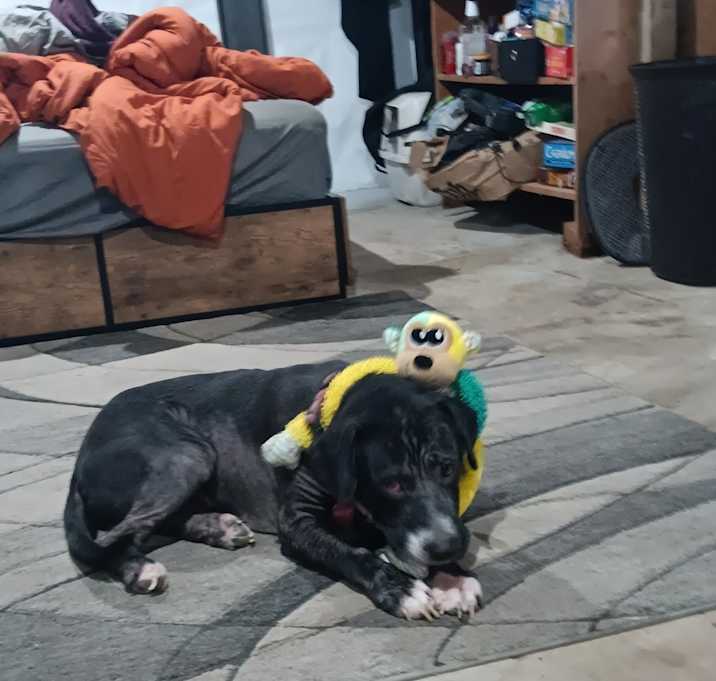 Photo of Minnie