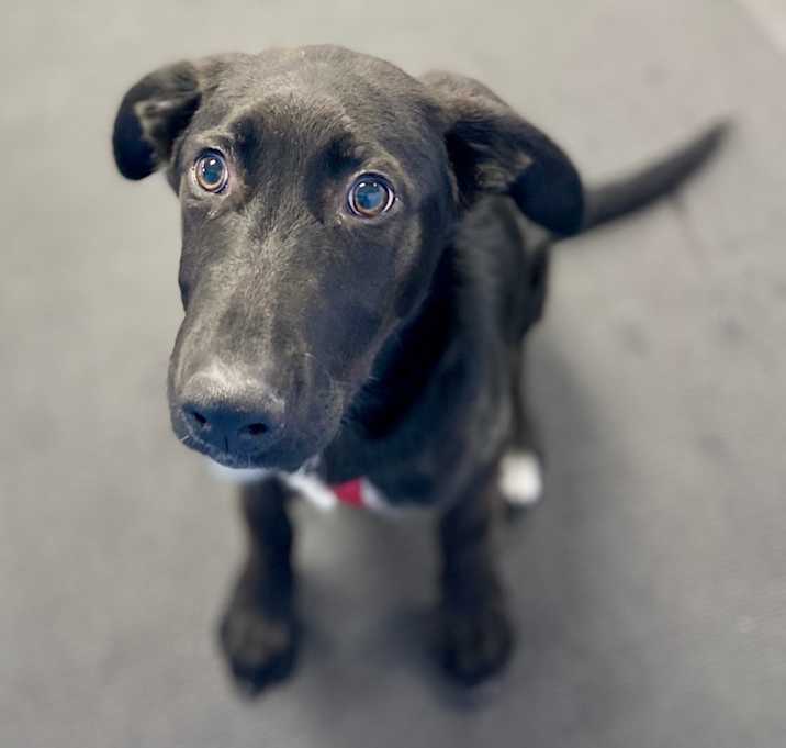 Photo of Jasper
