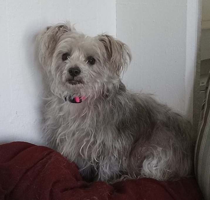 Photo of Ellie