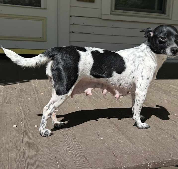 Photo of Diamond