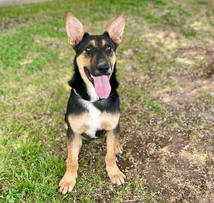 Photo of Max 25-04-050