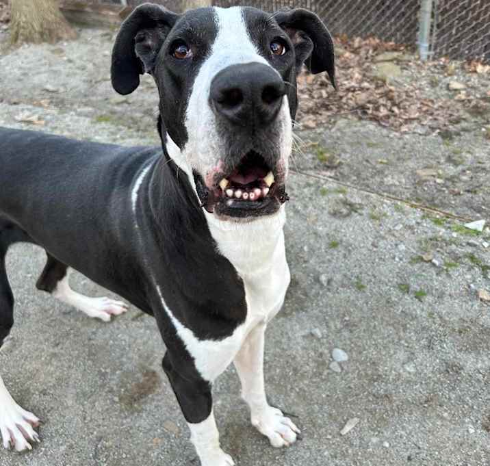 Photo of Fiona