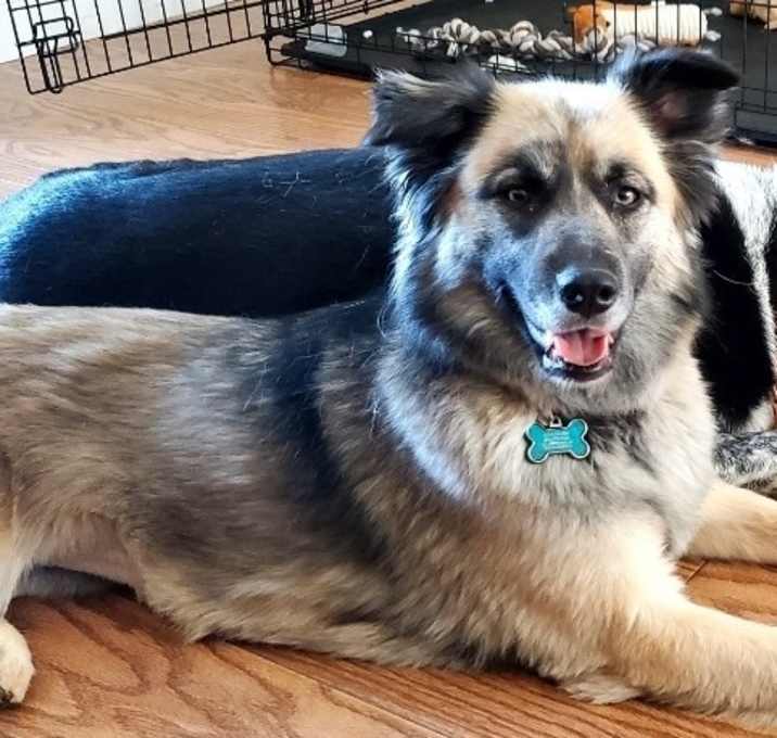 Photo of Athena