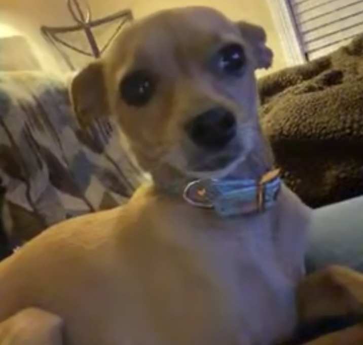 Photo of Bella Blu