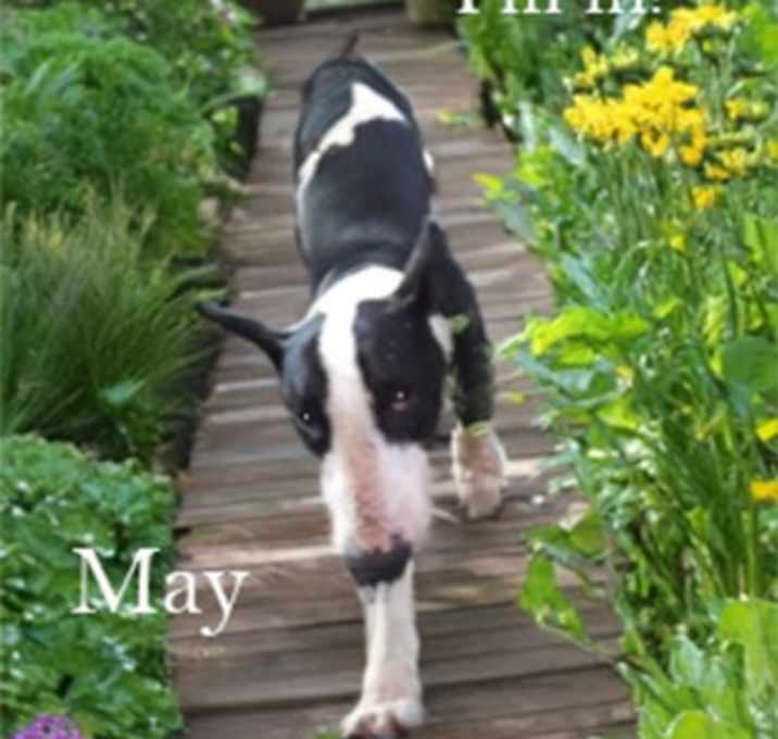 Photo of May